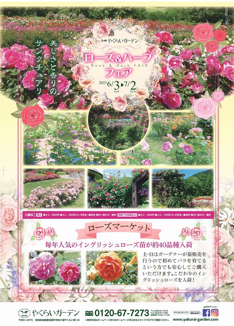 【やくらいガーデンローズ&ハーブフェア】が開催されています 【やくらいガーデンローズ&ハーブフェア】が開催されています