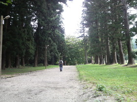 木立の中で・・・散歩道