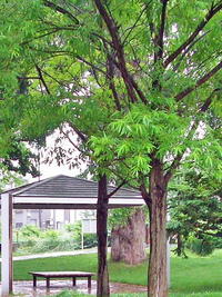 札幌豊平区の精進河畔公園