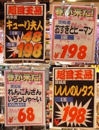 2009年02月05日
