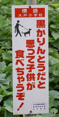 2007年12月10日