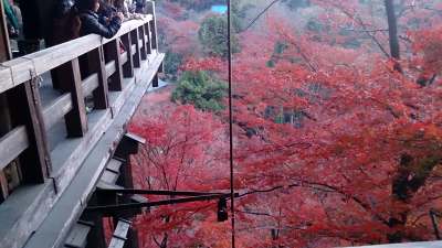 2013.12.1 清水寺へ