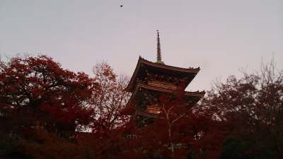 2013.12.1 清水寺へ