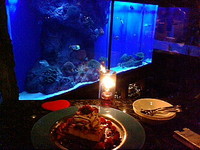 Bar　SeaFloor