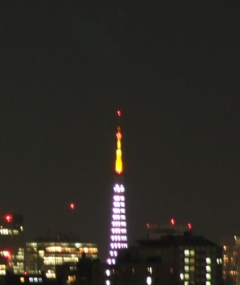 今日の東京タワーのダイヤモンドヴェール