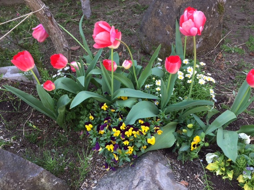 花