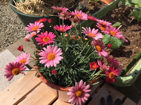 花