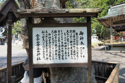 黄金山神社の初巳大祭本祭に参拝 黄金山神社の初巳大祭本祭に参拝