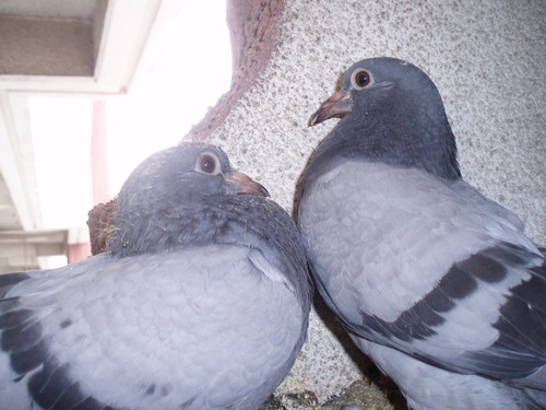 ぐるっぽ通信VOL・3
