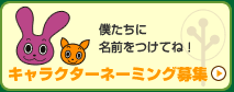 レジーナの森　ネーミング最終日！