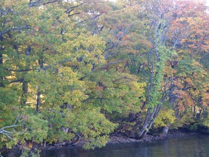 十和田西湖畔の秋