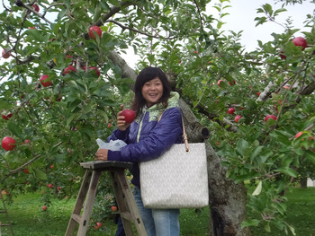 “VISIT JAPAN” 大湯でりんご狩り
