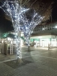 今日から多賀城駅前にイルミネーション点灯