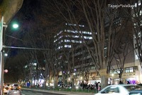 SENDAI光のページェント