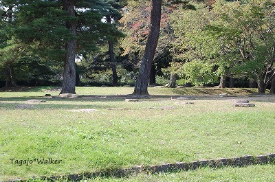 多賀城廃寺跡