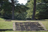 多賀城廃寺跡
