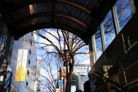 トンネルを抜けて・・・・