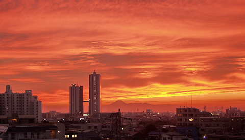 東京 No.2