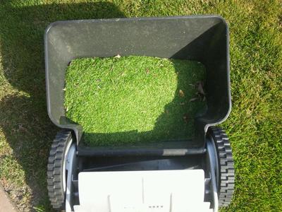 芝刈り24㎜＋液肥散布