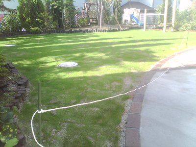 発芽5日目