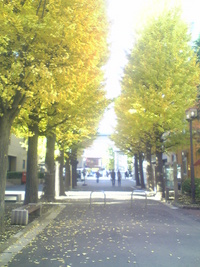 学校の風景。