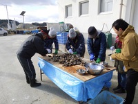 「牡蠣養殖場見学と牡蠣むき、焼きガキ体験」参加者募集