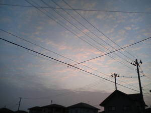 朝の大崎空もよう