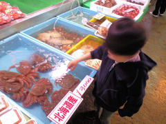塩釜水産物仲卸市場。