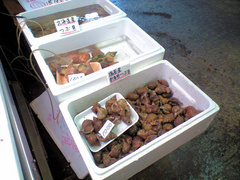 塩釜水産物仲卸市場。