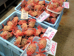 塩釜水産物仲卸市場。