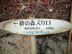 松島紅葉狩り☆其の弐