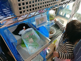「道の駅かくだ」に初めて行ってみました! 「道の駅かくだ」に初めて行ってみました!