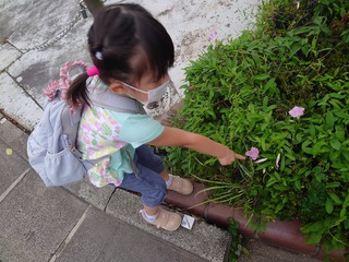 娘の4歳最後の日! 娘の4歳最後の日!