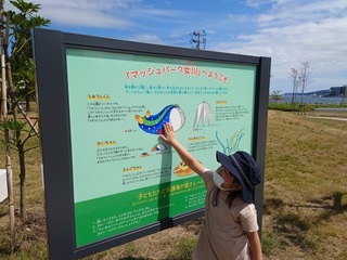 マッシュパーク女川/MASH PARK ONAGAWAを初体験! マッシュパーク女川/MASH PARK ONAGAWAを初体験!