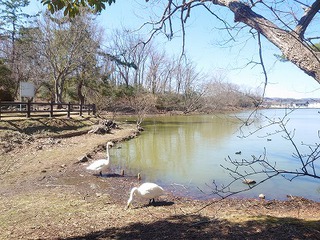 岩沼の朝日山公園で遊んできた! 岩沼の朝日山公園で遊んできた!