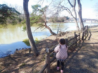 岩沼の朝日山公園で遊んできた! 岩沼の朝日山公園で遊んできた!