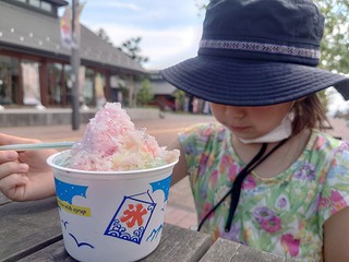 女川で食べたもの飲んだもの 女川で食べたもの飲んだもの