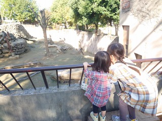 ばあば&おばと動物園 ばあば&おばと動物園