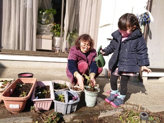 お庭の手入れ