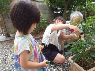 半年ぶりの福島帰省