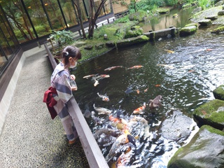 朝散歩で、鯉の餌やり＆足湯
