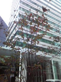 2013年12月14日