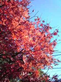 2013年11月29日