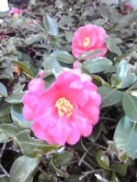 2013年12月27日