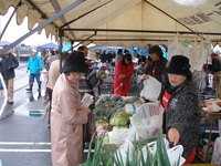 2008年12月22日