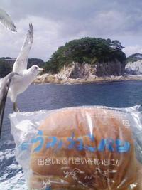 北東北旅行レポ①(浄土ヶ浜~龍泉洞)