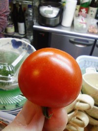 「岩出山・トマトを食す会」開催レポ