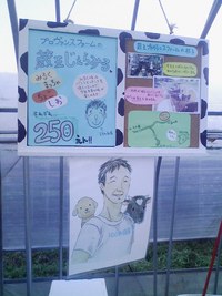 蔵王ハーブ祭りに行ってきました!