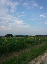 山川ご夫妻が遊びに来ました♪