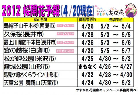 桜の開花予想(4月20日現在) 見ごろ予想つき